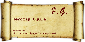 Herczig Gyula névjegykártya